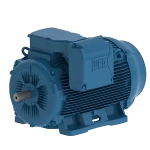 Motor Eléctrico 1HP